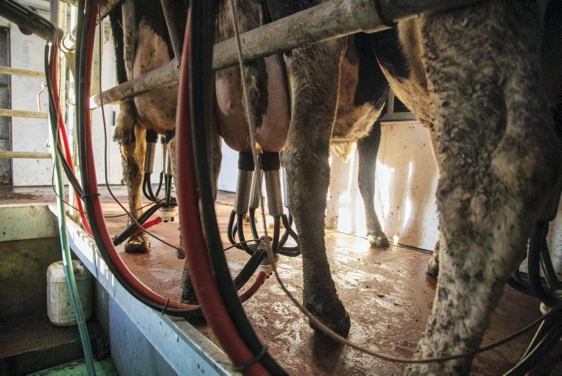 Dairy sector needs to grasp succession nettle