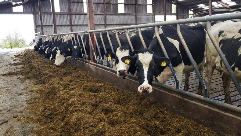 AFBI study examines low-protein dairy diets