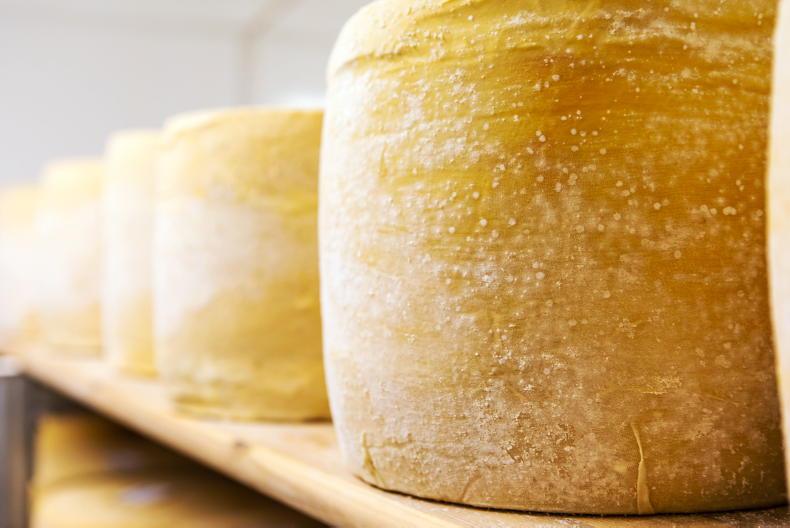 New study finds cheese is particularly good for women’s heart health