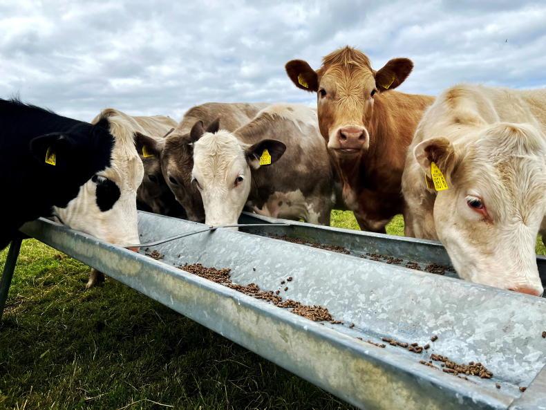 Feed deliveries to NI farms down 93,000t