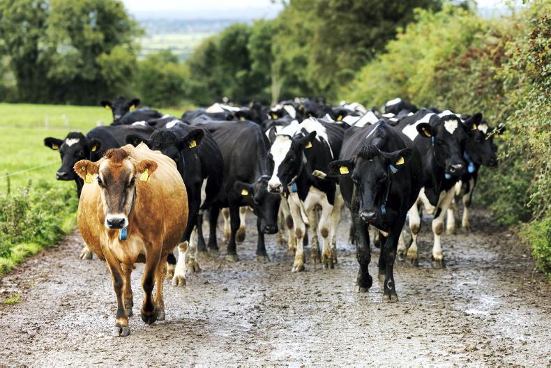 Nutrient trading scheme recommended in new report