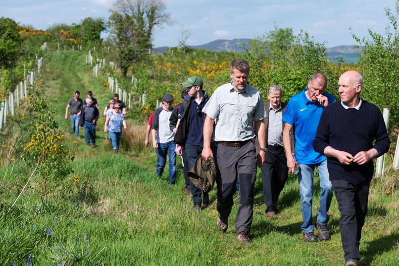 Farming for Nature announce summer farm walks