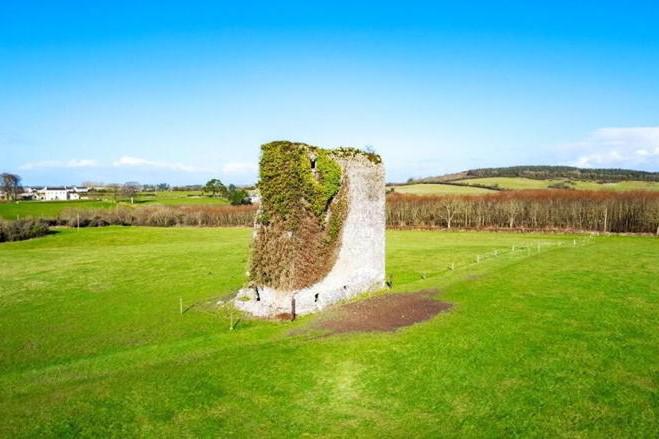 Old tower house is a talking point on this 45.5ac farm in Co Tipperary