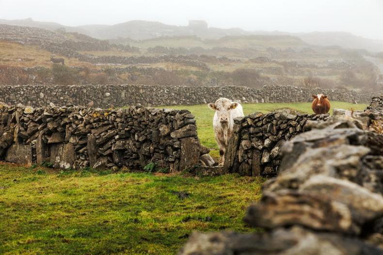 Weekend weather: Saturday to bring return to more typical spring conditions 