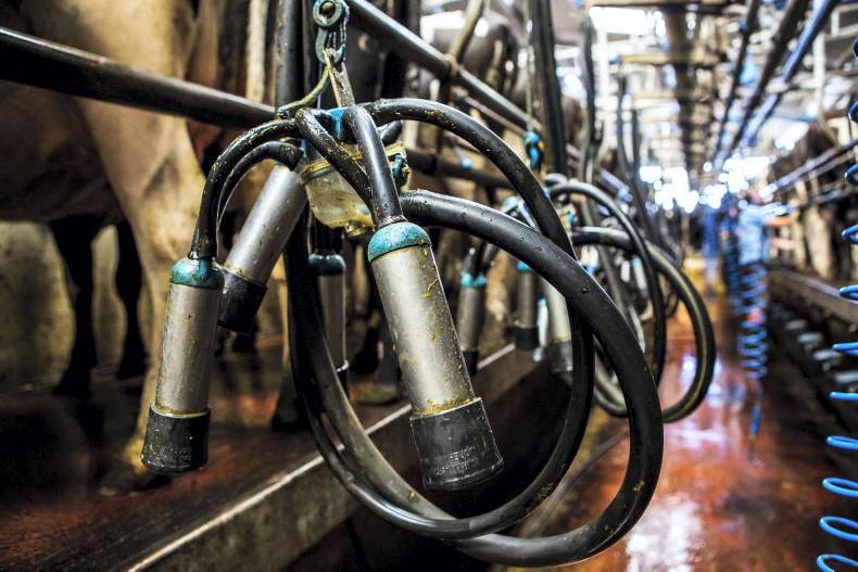 Agri jobs: graduate job on Monaghan dairy farm