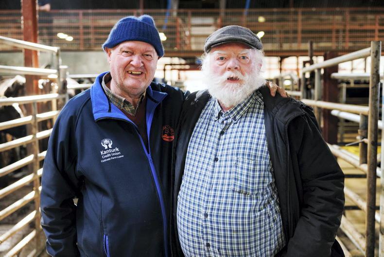 Camera at the Mart: demand drives all prices in Kanturk