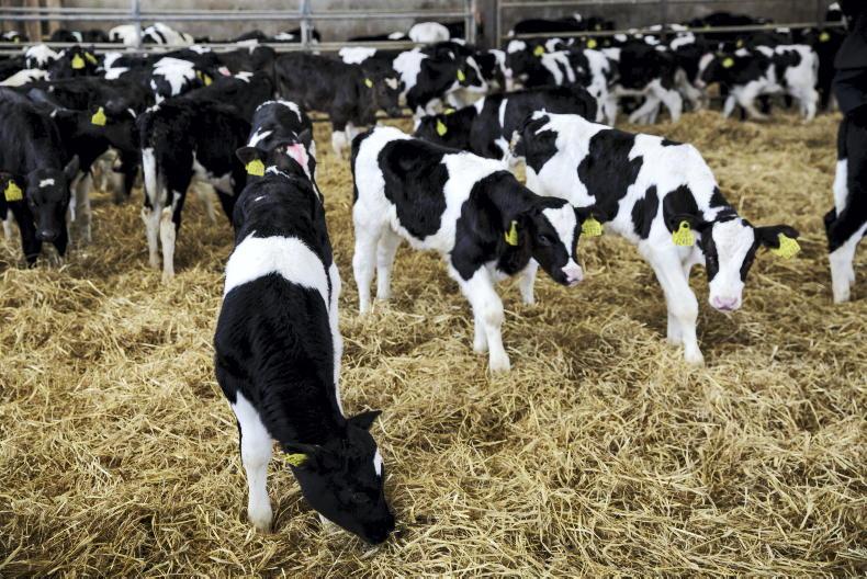 Contraction continues with herd over 280,000 head lower on 1 March