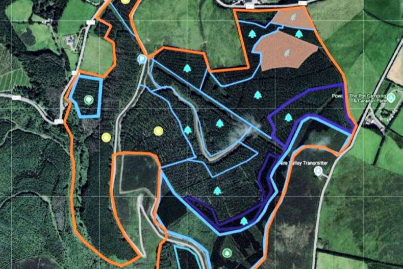 €1m asking price for big mixed forestry in Waterford