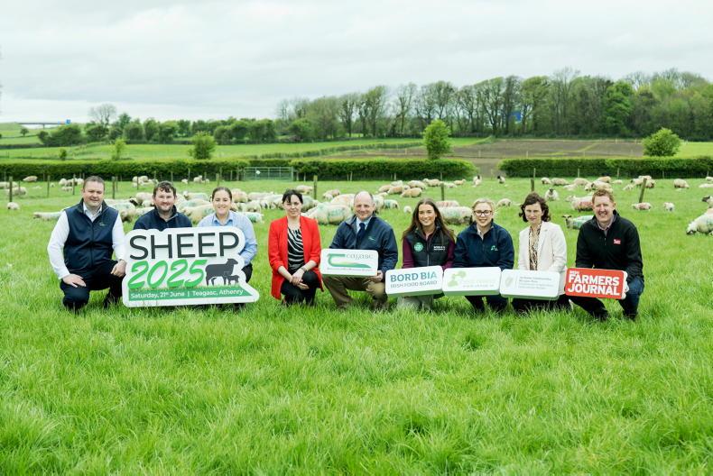 Sheep 2025 to be largest dedicated event for sheep farmers