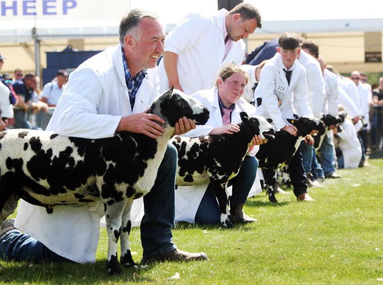 Watch: live blog from Balmoral Show 2025