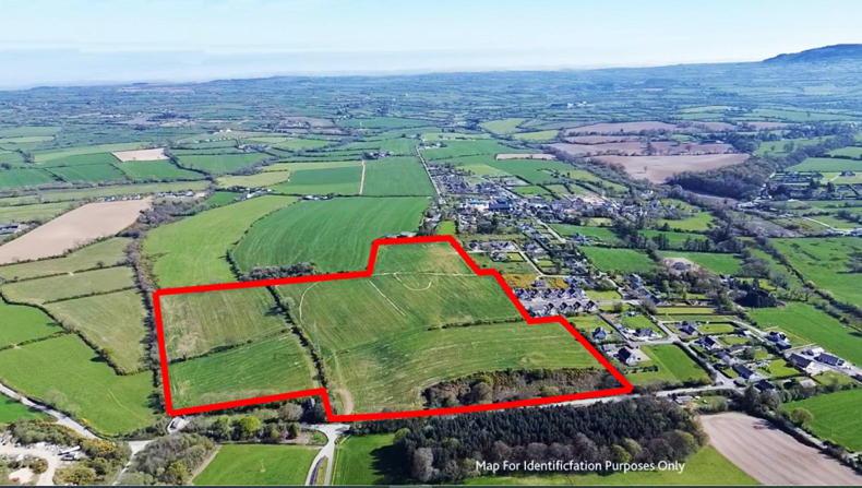 Two mid-sized farms ready for online auction