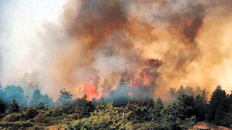 Department issue orange high fire risk warning