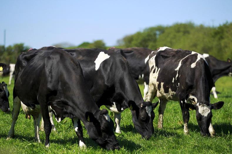 New concentrate protein rules for grazing and dairy animals