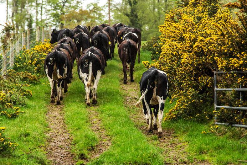 Nitrates: new rules for land more than 30km from main holding