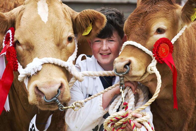 Over 40,000 patrons expected at Cork Summer Show