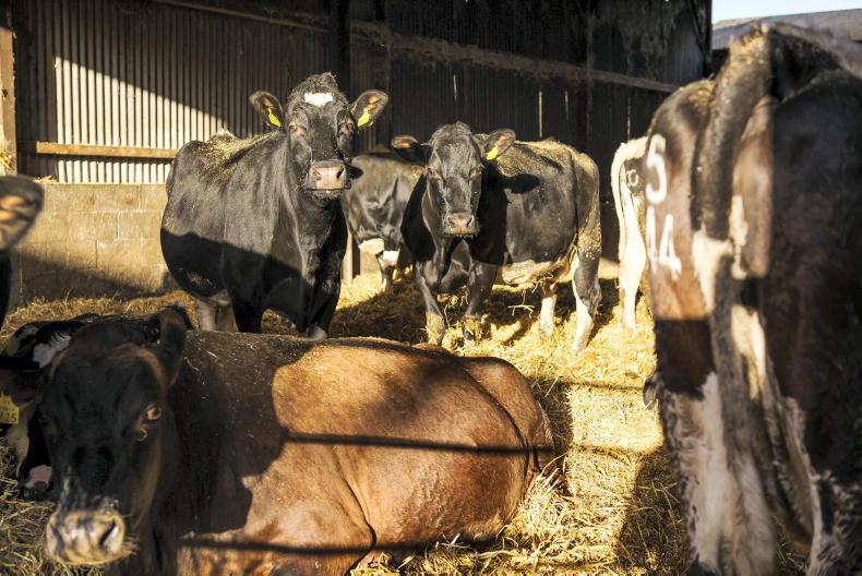 Private advisers lose out on organic funding 