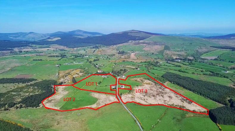 Quality grazing land in Wicklow for auction