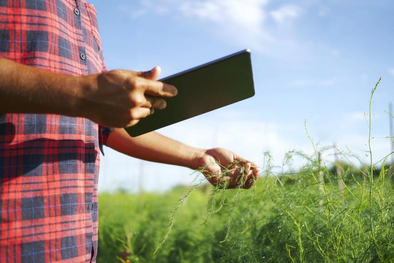 AgTech Ireland hosts conference on artificial intelligence in farming