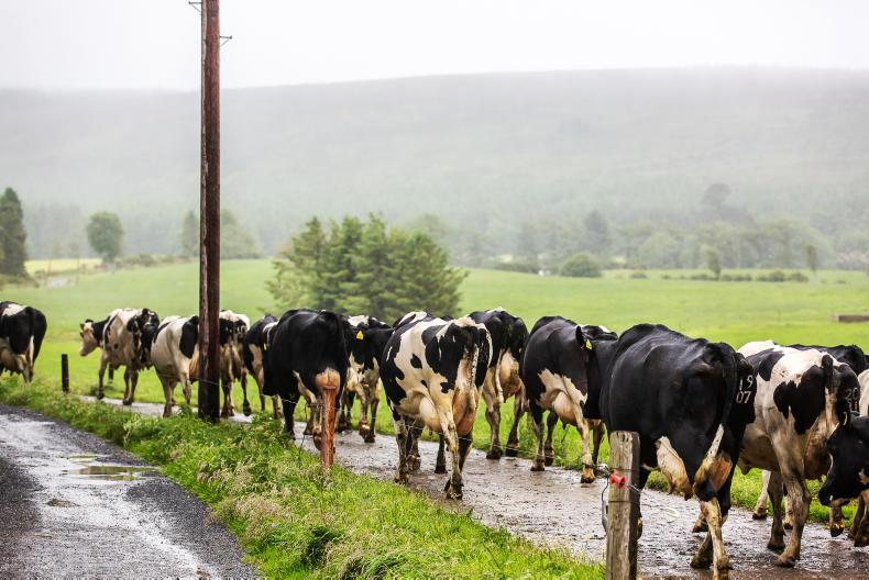 April milk price held at Carbery