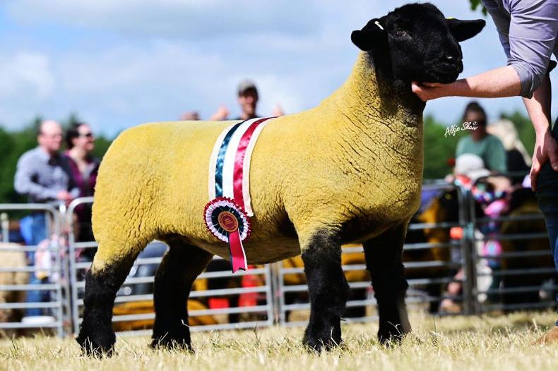 11 national championships set to take place at Armagh Show