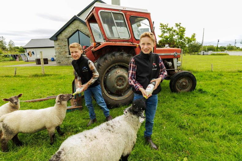 In tune with nature, twins Ollie and Finn love their cool farm life