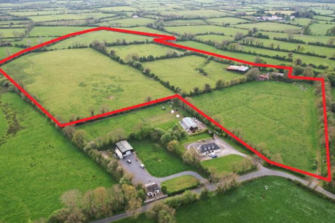 Golden Vale farm guided at €475,000