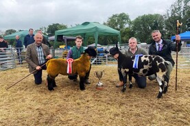 Dundalk interbreed champion goes to mighty Suffolk ewe lamb