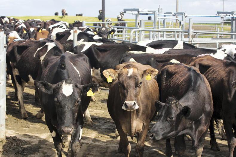 Nitrates derogation rules for 2025