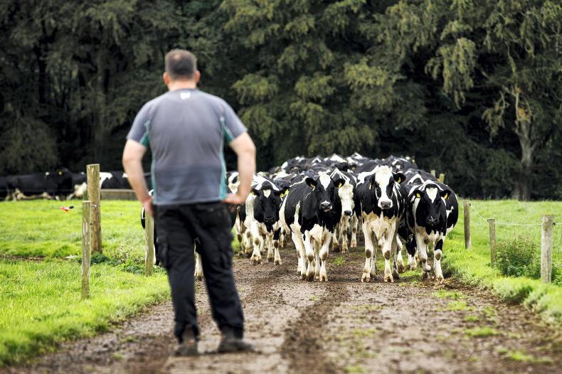 What to expect in a Young Farmers Scheme inspection