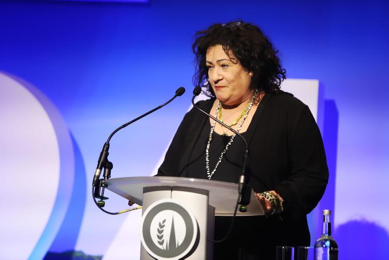 BBB face uncertain future as Dutch government falls