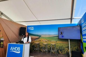 Tillage Podcast: reporting from Cereals in the UK and crops in Co Louth