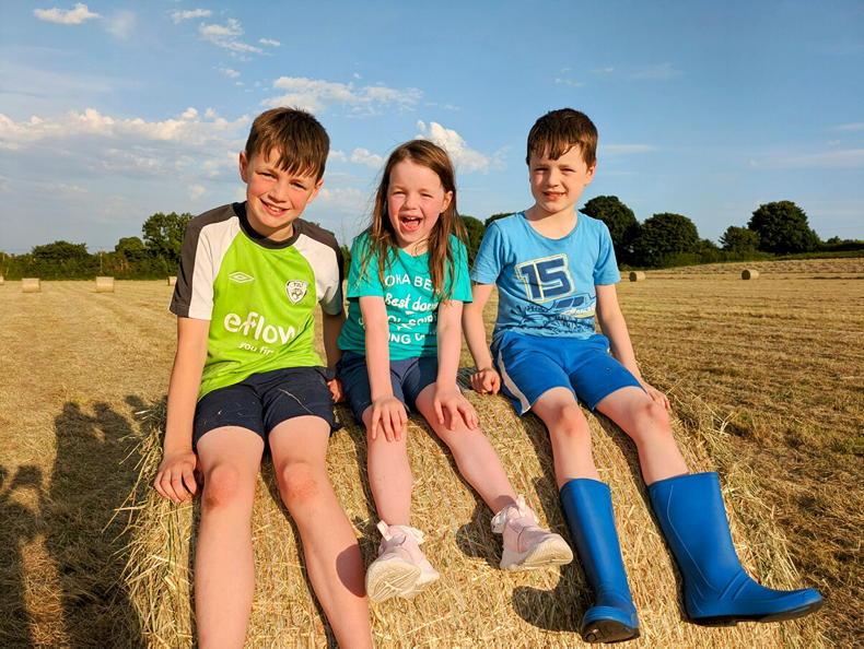 Country vibes... a few of our favourite things