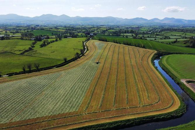Share your photos of silage 2025