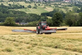 Changing dynamics within the NI lamb market