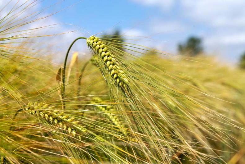 Over 30% of tillage farmers earning more than €50,000