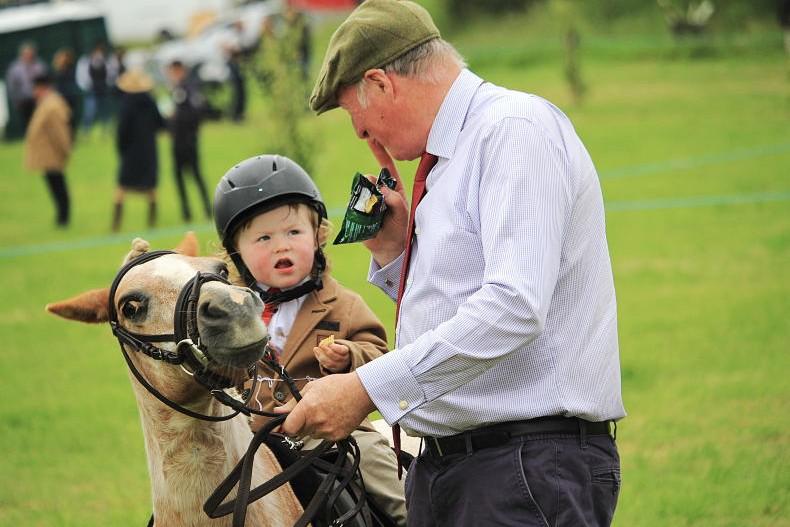 Irish Horse: it’s on with the shows!