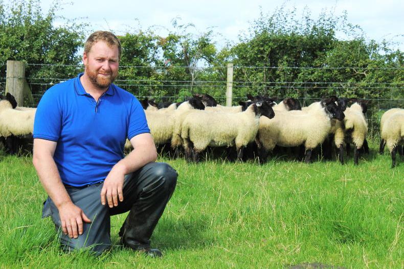  NSA Sheep 2025 takes place on 1 July