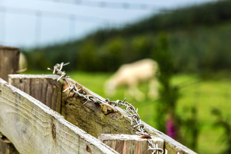 Facts and figures from the National Farm Survey