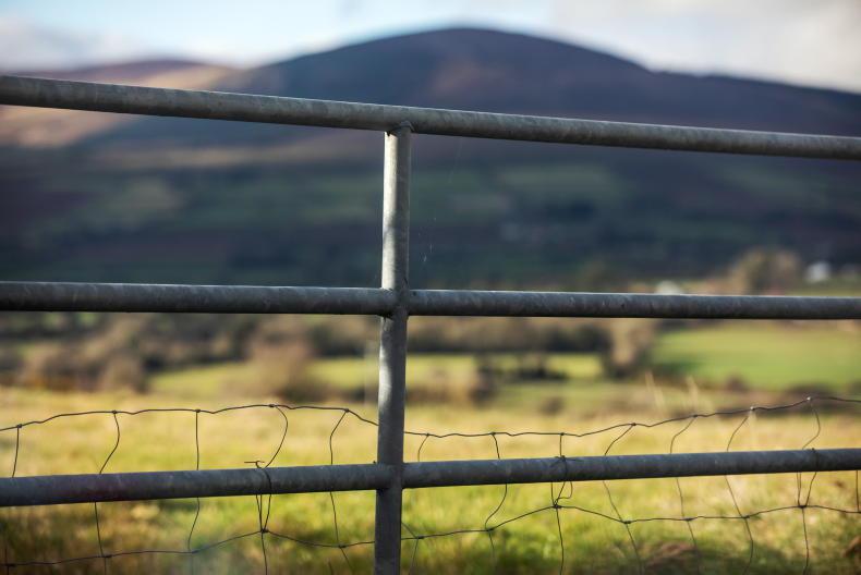Only genuine active farmers should get CAP money - IFA