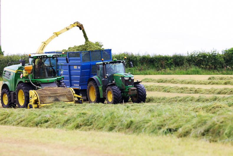 Dairy Management: a good year to build up silage reserves