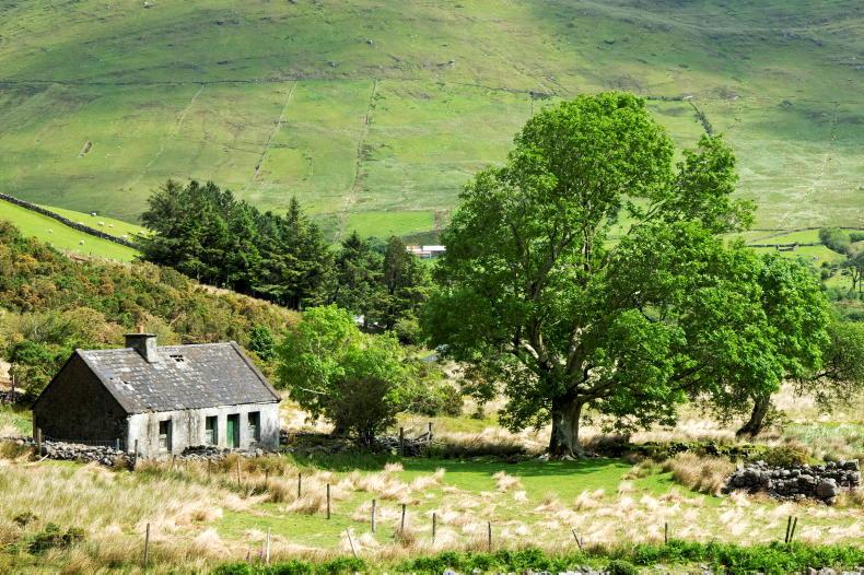 Editorial: land use - rewilding and land use challenge