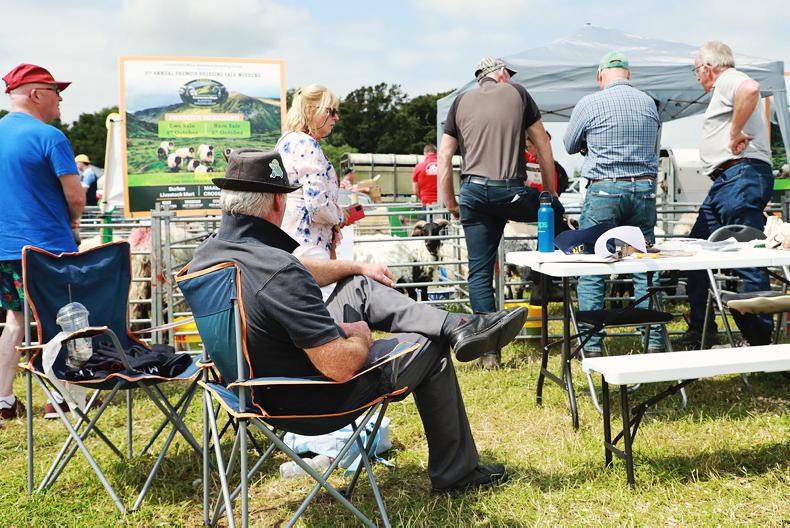In pictures: highlights from Sheep 2025 open day