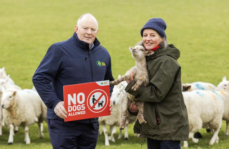 Department of Agriculture officially takes responsibility for dog control