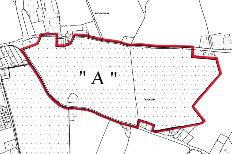 Close to Ardee – land will ‘generate interest’  at auction