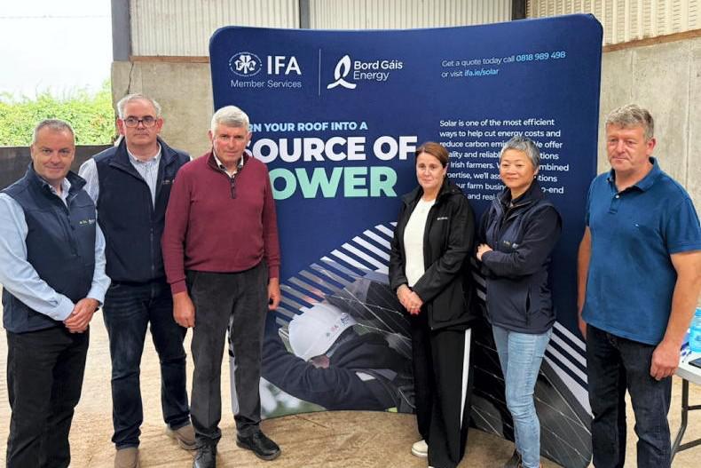 Factory beef price cuts at odds with cattle supply situation – IFA