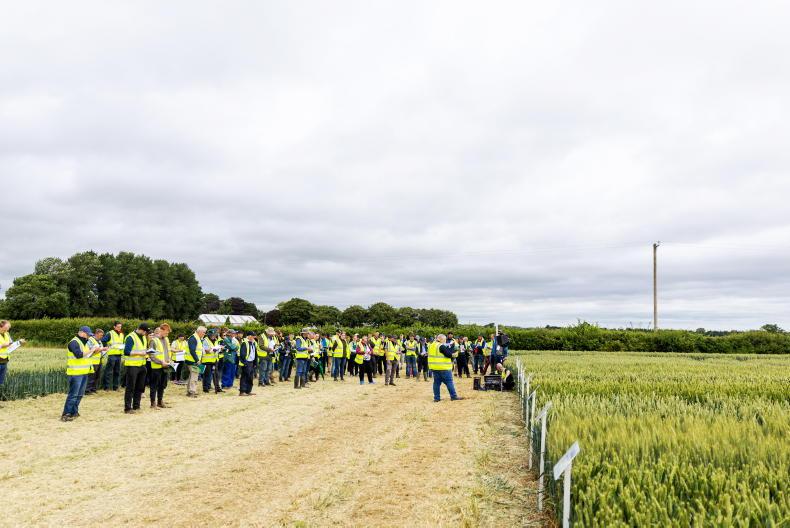 Editorial: Cereals – Department trials importance clear