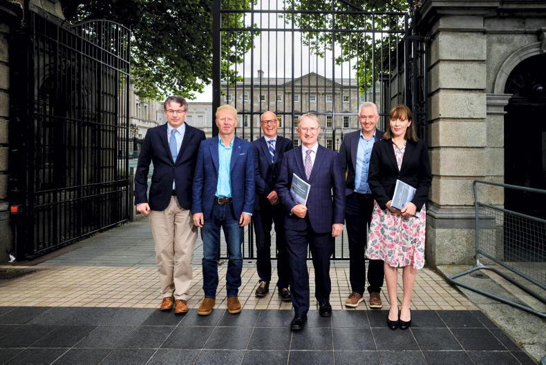 Dempsey at Large: a structural shift in Irish farming