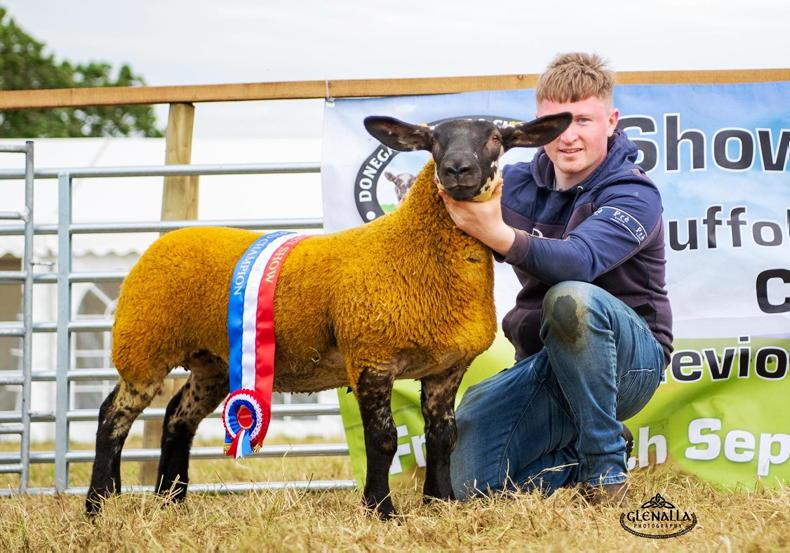 Suftex ewe lamb claims interbreed champion at Finn Valley Show
