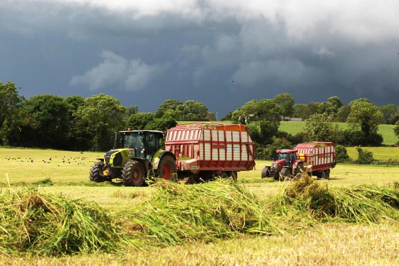 Curved mowing patterns better for pollinators - study