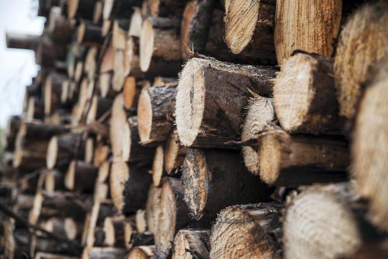 Seamus Neely appointed Forestry Appeals Committee chair